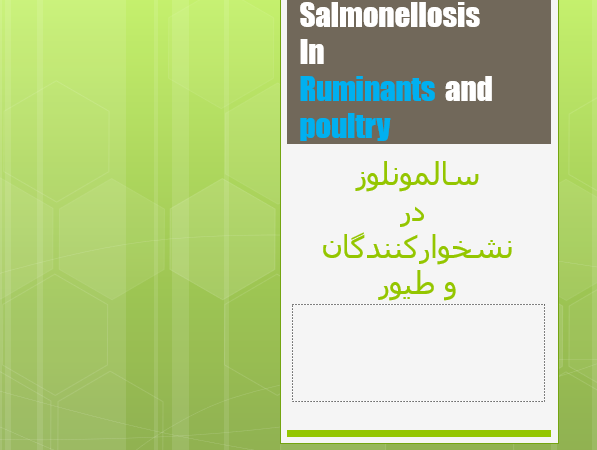 دانلود-پاورپوینت-سالمونلوز-در-نشخوارکنندگان-و-طیور
